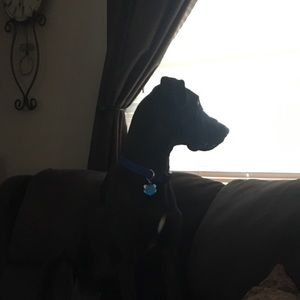 Meet your Posher, Heather